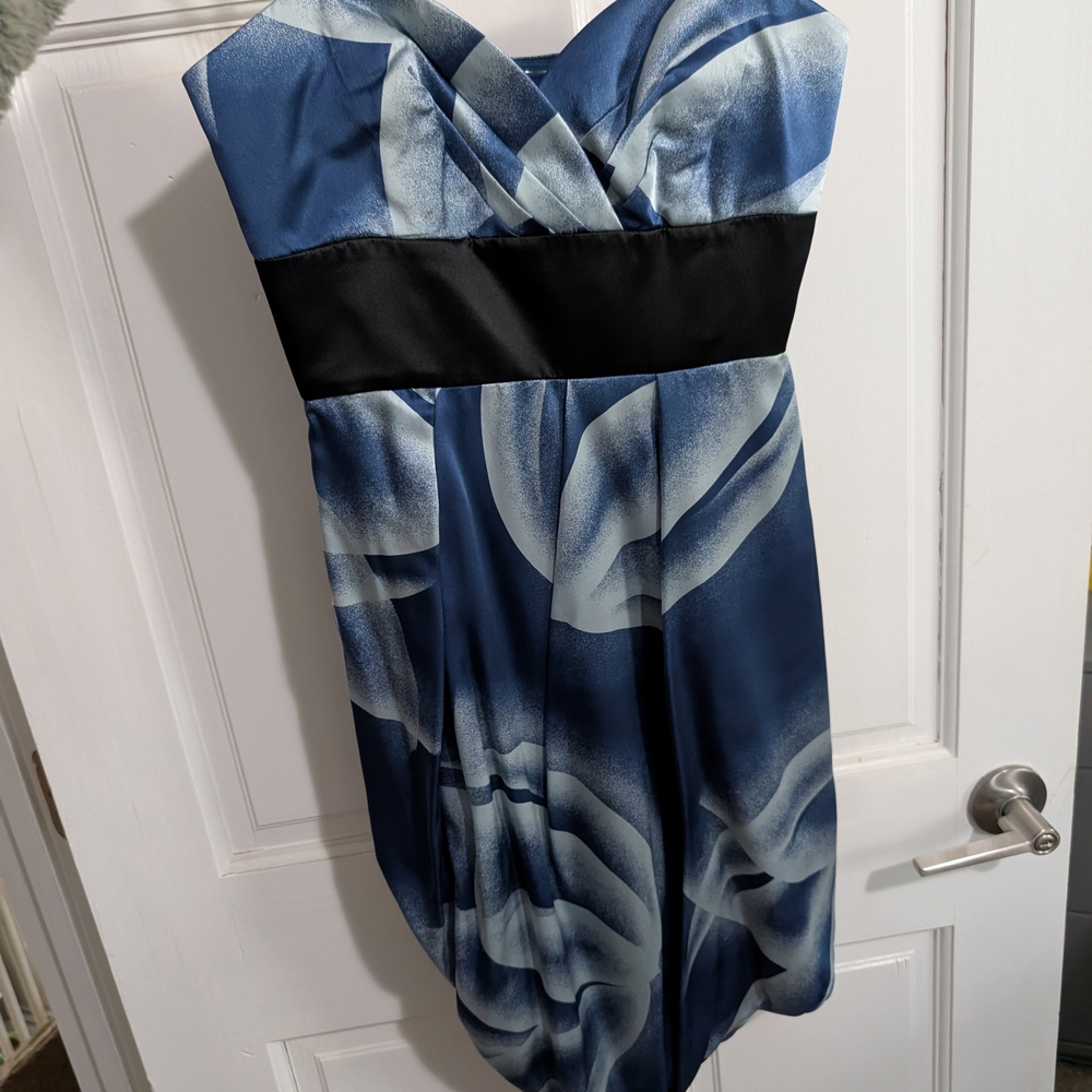 BCBGMaxAzria Blue and White Dress